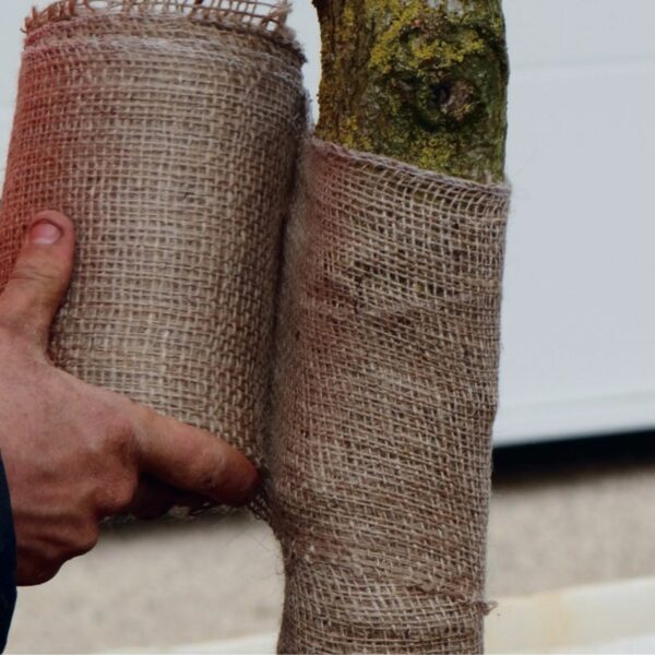 La toile de Jute Végéprotech