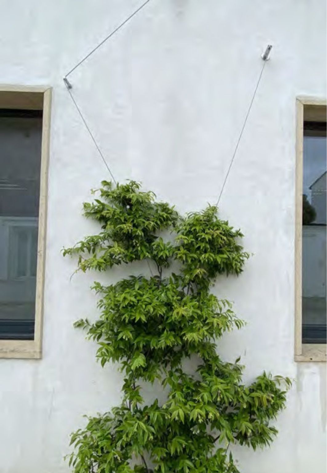 Plot polyvalent Végécable